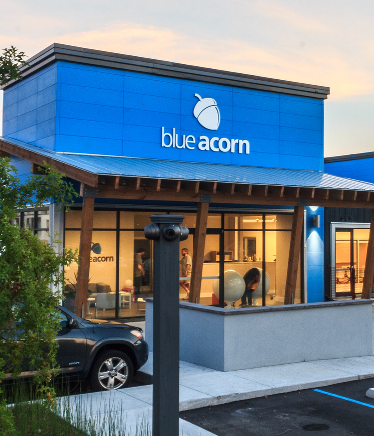 Blue acorn ICI office