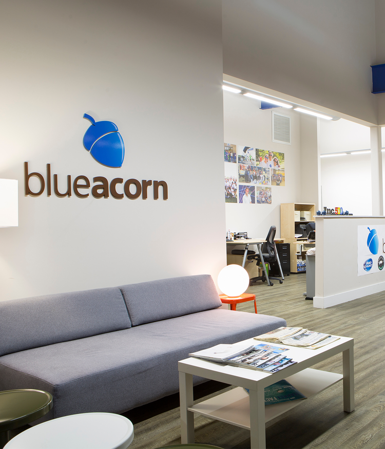 Blue acorn office